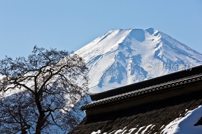 富士山