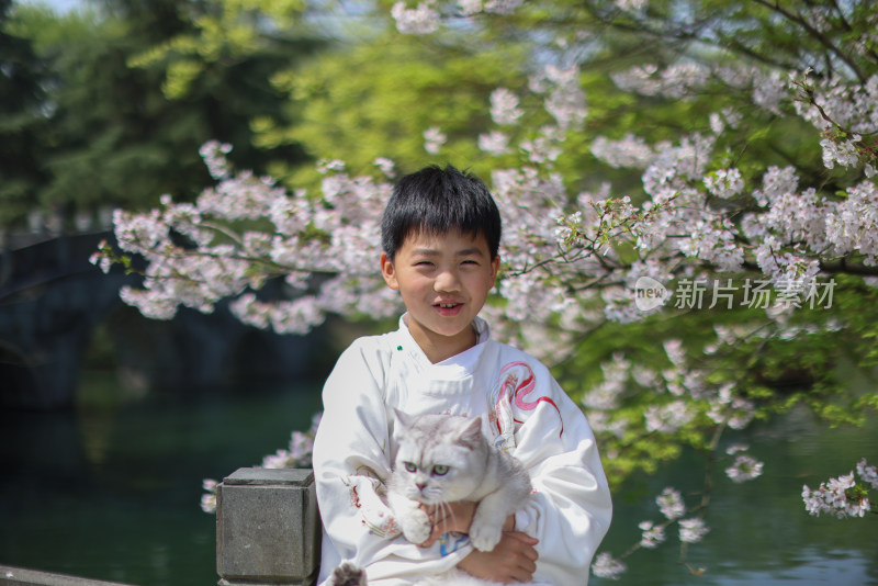 穿着汉服的小男孩和宠物猫 赏花 樱花