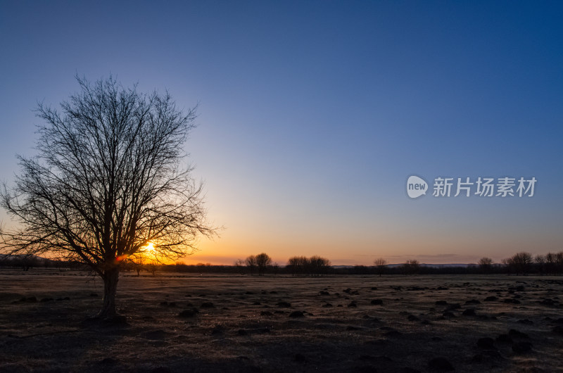 内蒙古呼伦贝尔额尔古纳湿地公园日落夕阳