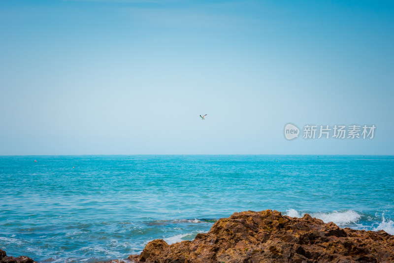 海浪礁石大海海岸线