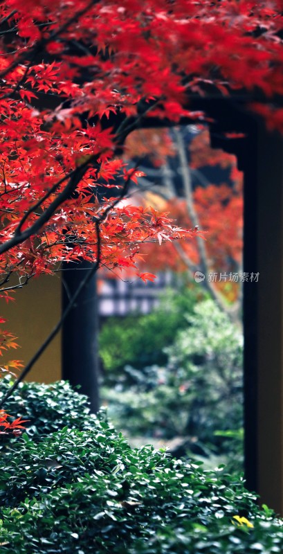 杭州灵隐永福禅寺自然建筑景色景观