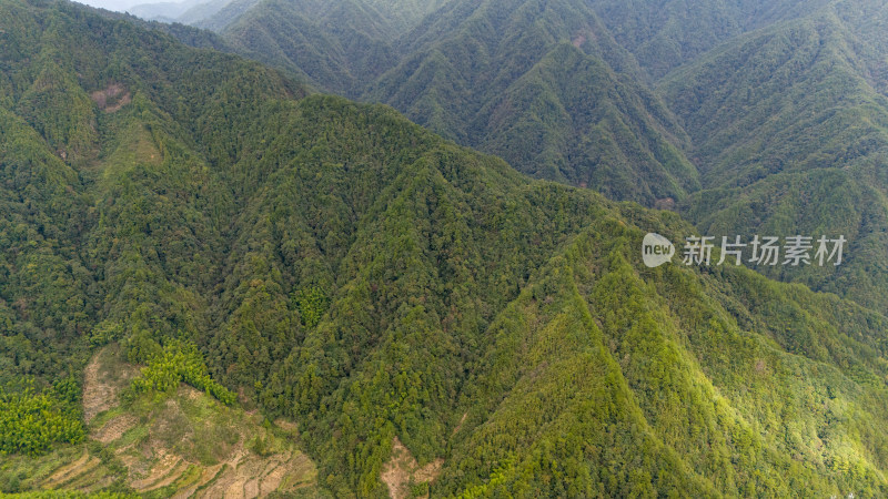 钱江源景区绿色山林航拍