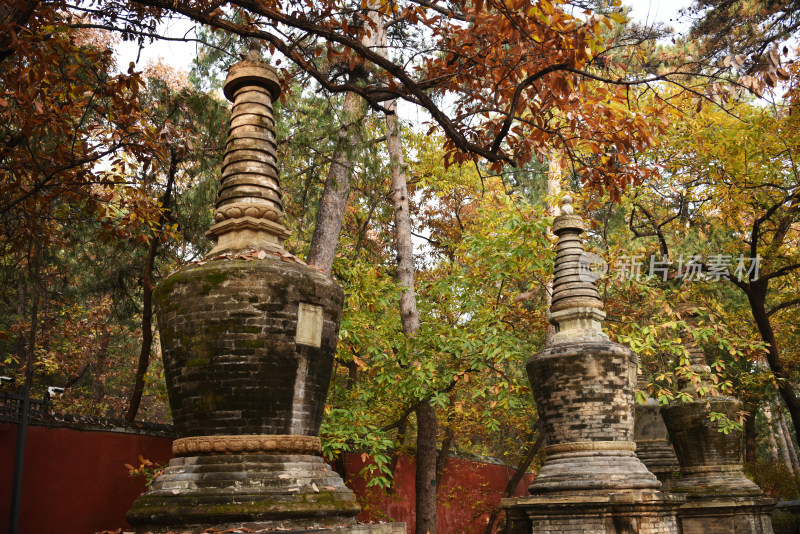 古刹塔林秋色 北京潭柘寺塔林