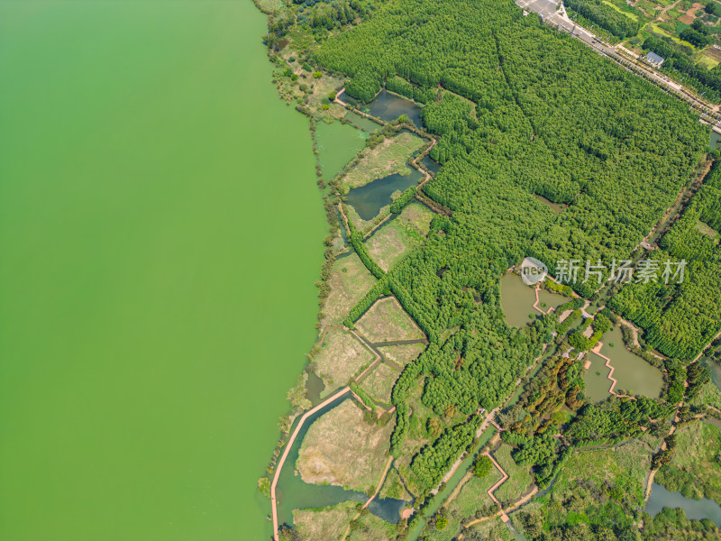 航拍昆明滇池捞鱼河湿地公园景观