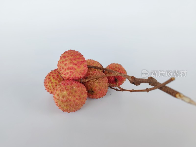 枝头上的新鲜荔枝果实