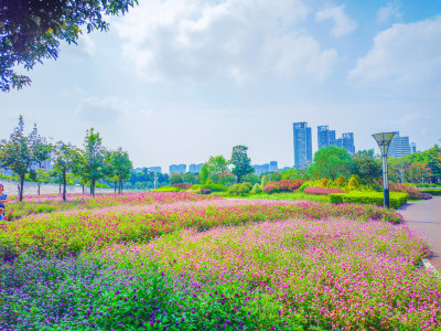 佛山市文华公园和佛山电视塔