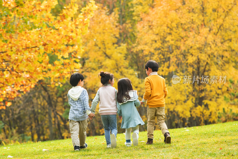 手牵手走在秋日里的男孩女孩