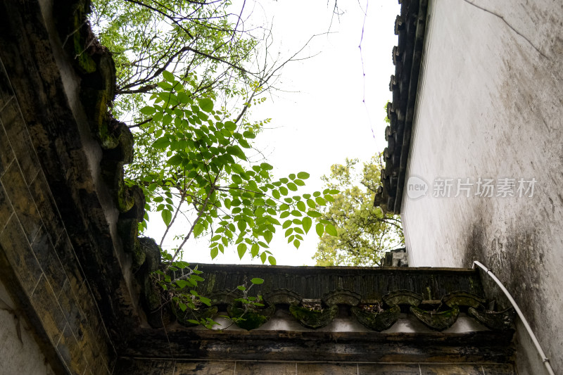 婺源风景