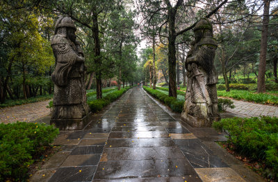 南京明孝陵石象路神道秋色景观