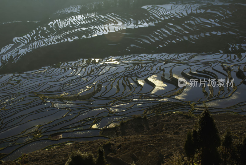 云南元阳梯田