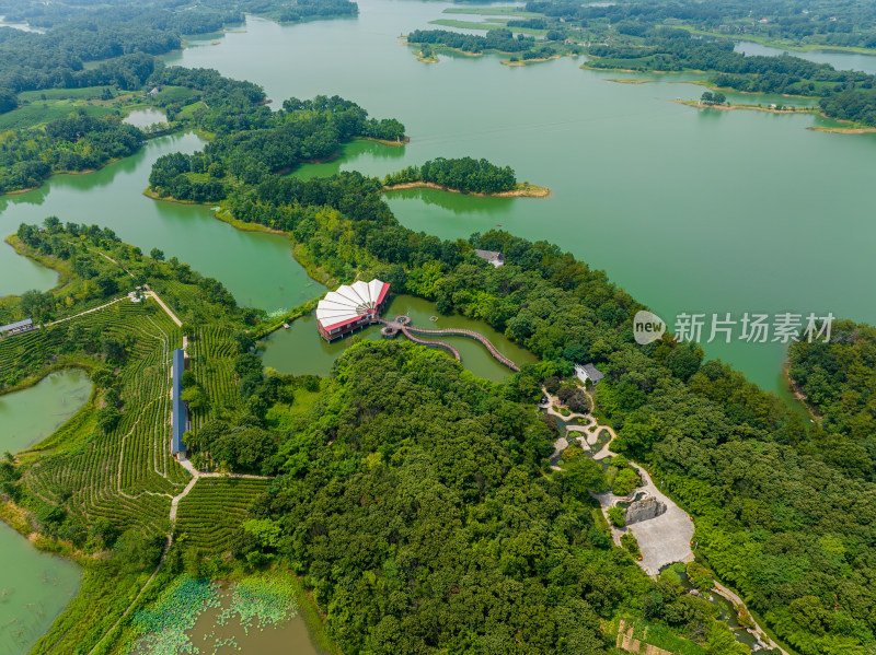 航拍夏季河南信阳南湾湖茶岛风光