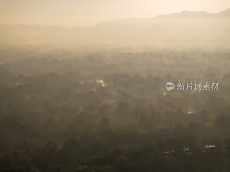 中国杭州西溪湿地云雾缭绕唯美水墨画