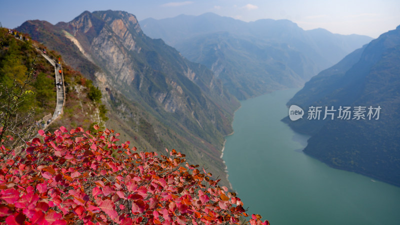 长江三峡巫峡红叶