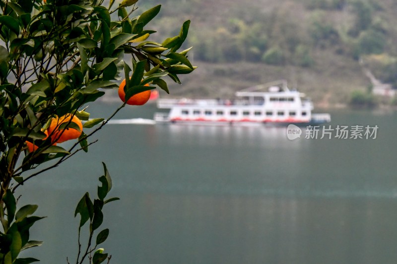 重庆酉阳：绿水青山林更红