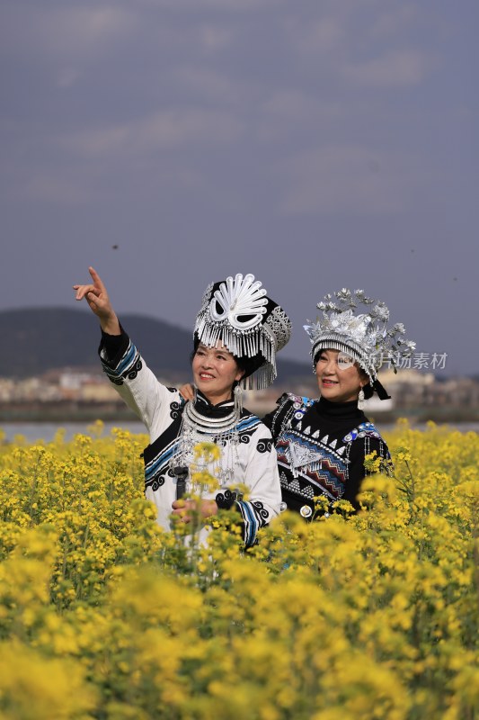 油菜花开春意浓 美丽乡村入画来