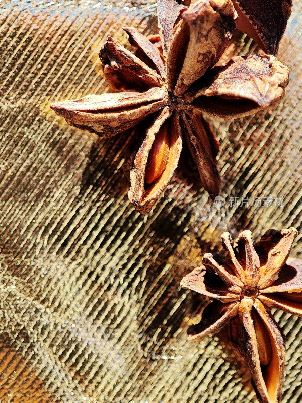 亮色背景下的干枯八角特写