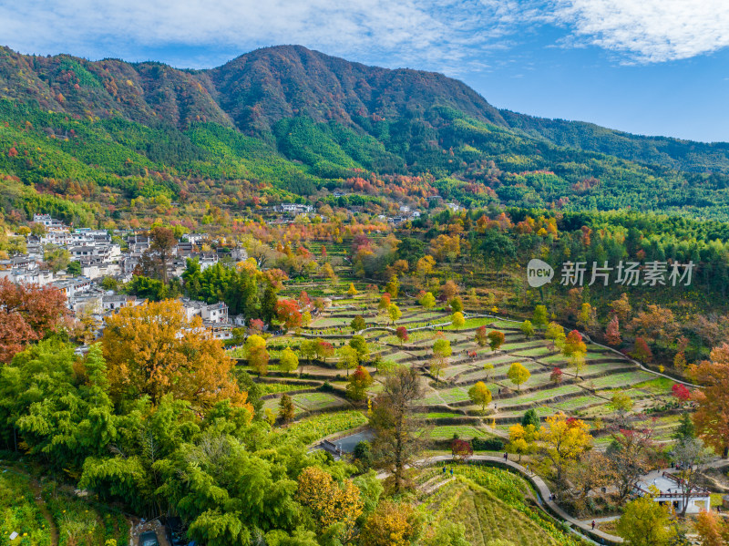 皖南秋色塔川国家森林公园