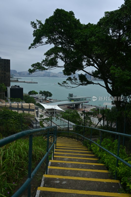 香港街头随拍 维多利亚海港 City Walk