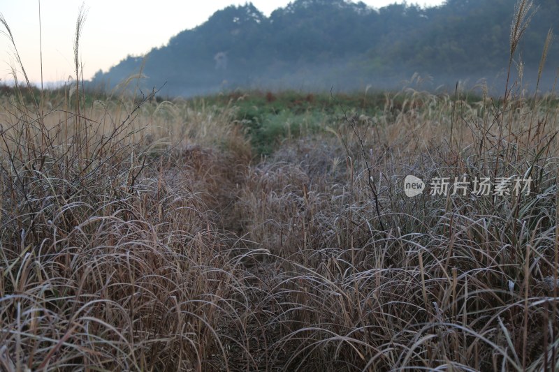 山间薄雾