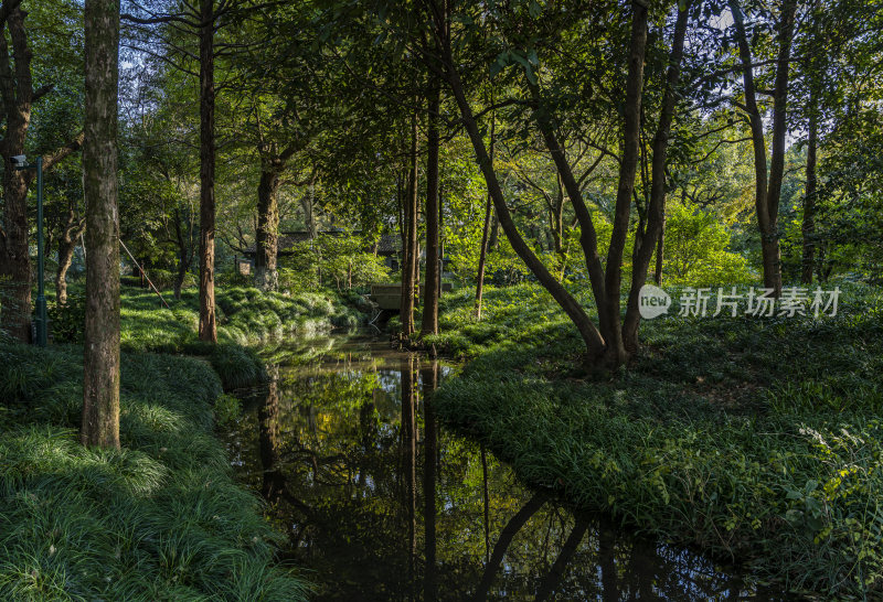 杭州西子湖畔杭州花圃风景