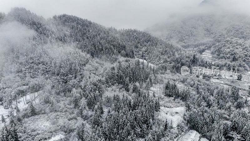 重庆酉阳：大雪纷飞赏雪忙