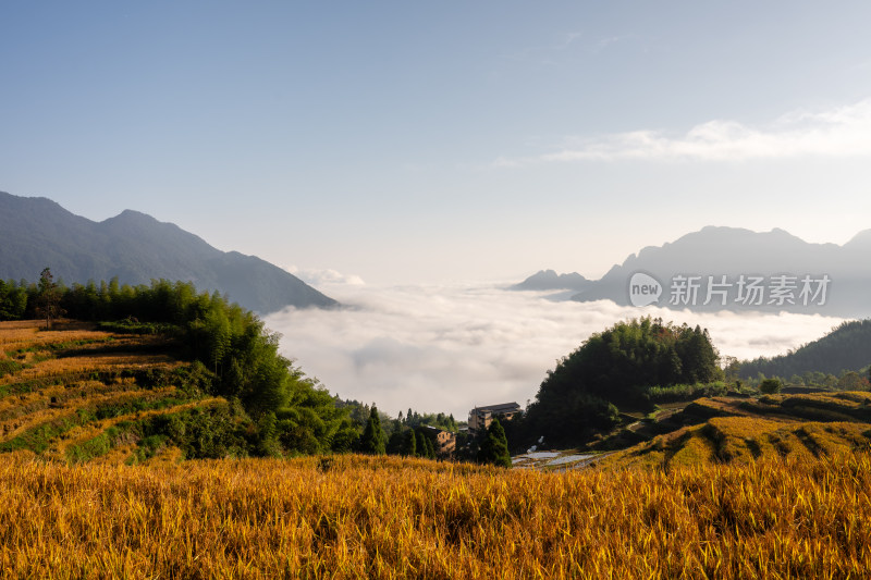 浙江丽水云和梯田景区风光