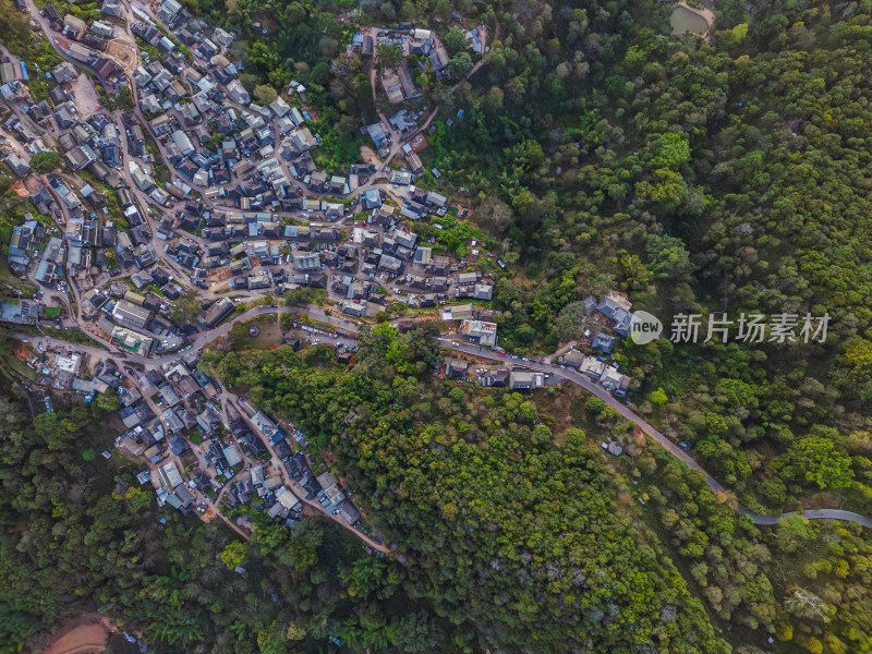 航拍被森林环绕的景迈山村庄全景