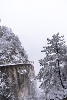 老君山下雪大山森林雾凇景观