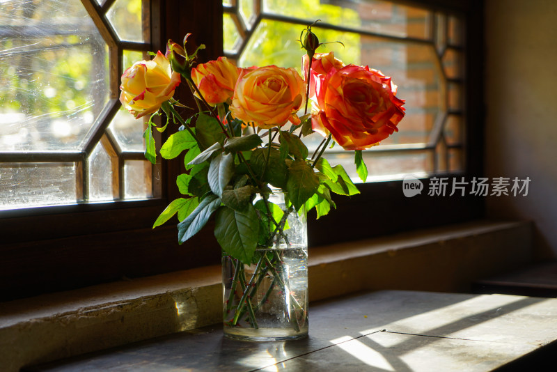 玻璃花盆月季花玫瑰花老房子