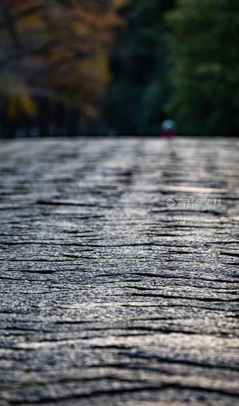 明孝陵石象路神道石板路近景与模糊自然背景