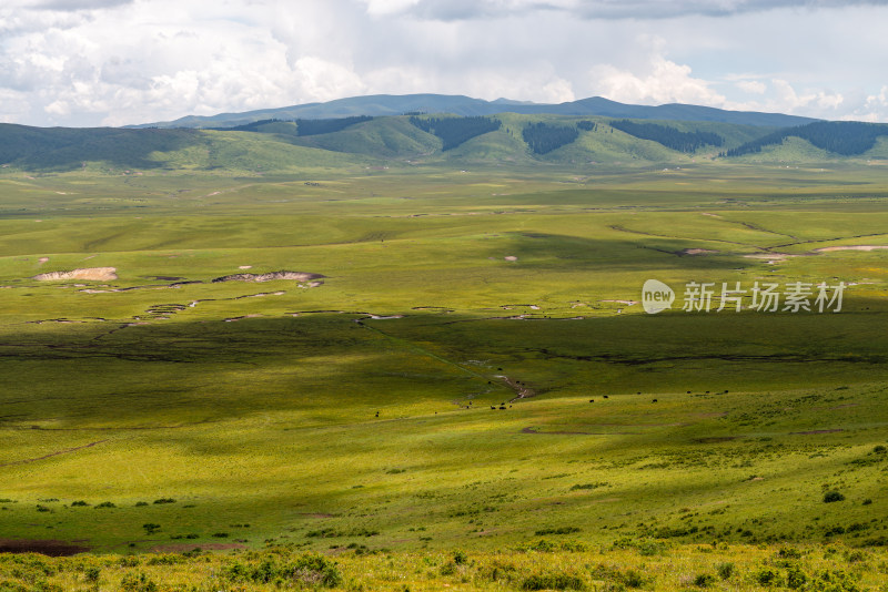 蓝天白云草原风景