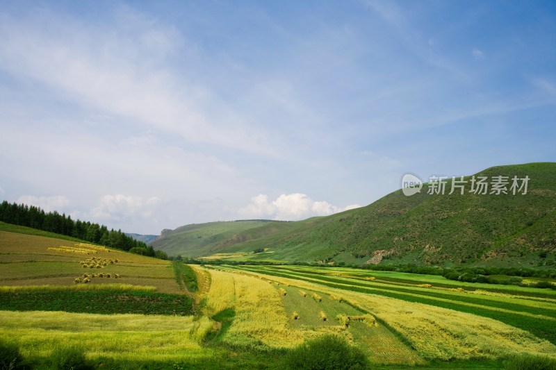 内蒙,坝上,乌兰木统,乌兰木统草原,红山,军马场,草原,草地,