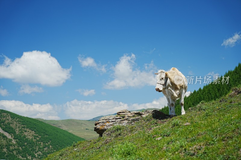 五台山南台风光