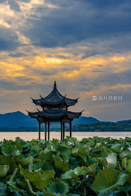 晴朗多云的杭州西湖日落美丽风景