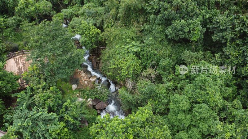 广东东莞：银瓶山树林溪涧流水潺潺