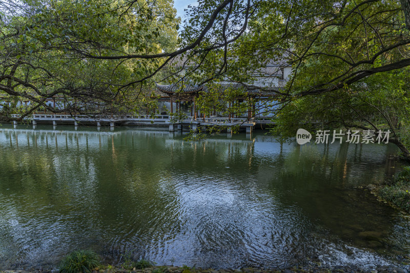 杭州西子湖畔杭州花圃风景