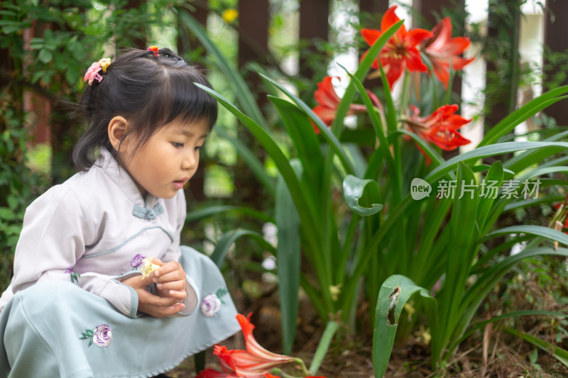 观察花卉植物的可爱小女孩