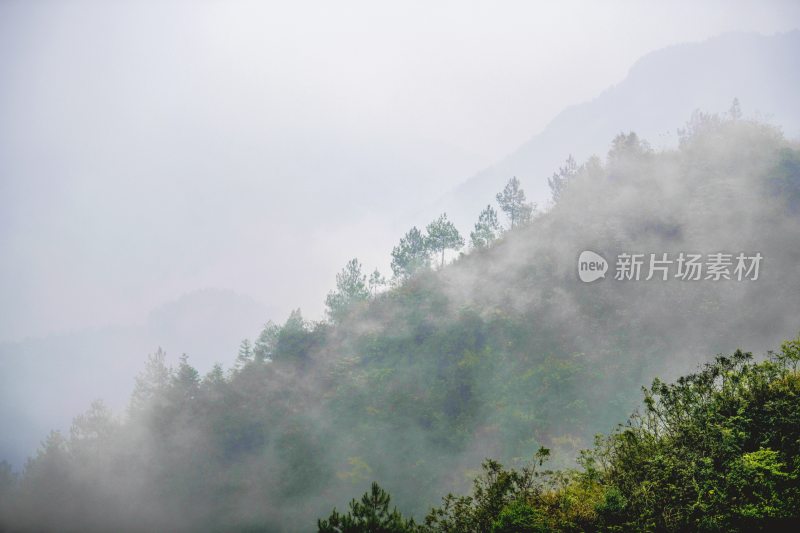 重庆酉阳：暮秋绵雨晨雾浓