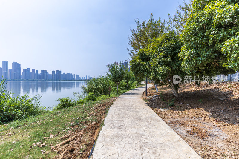 武汉江夏区汤逊湖壹号湿地公园风景