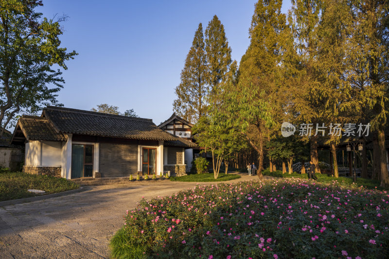 杭州西湖茅家埠江南水乡风景