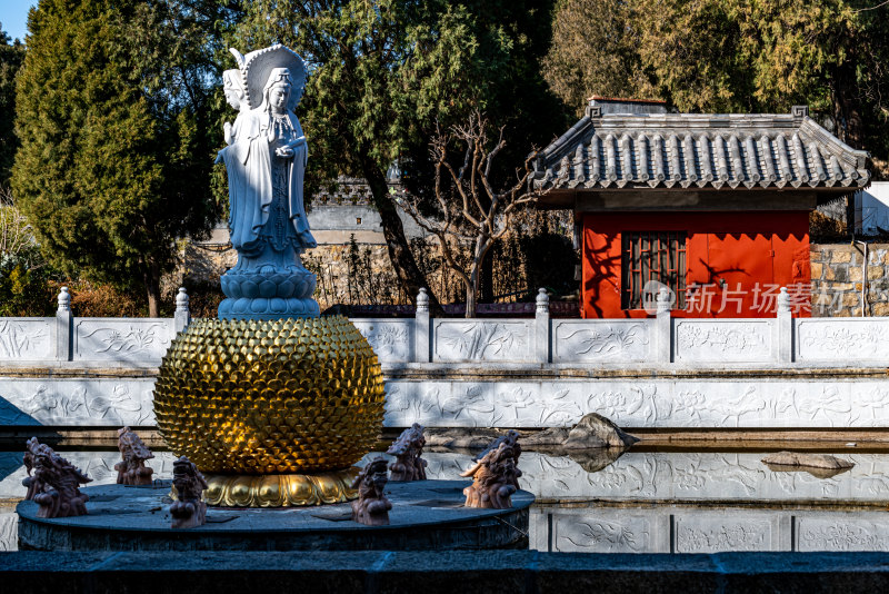 山东泰安普照寺景观景点