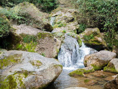 成都都江堰市青城山后山风景