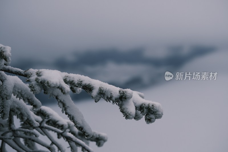 川西雪山雪景氛围感