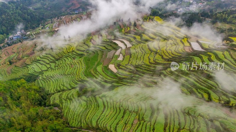 重庆酉阳：青山雾漫别样美