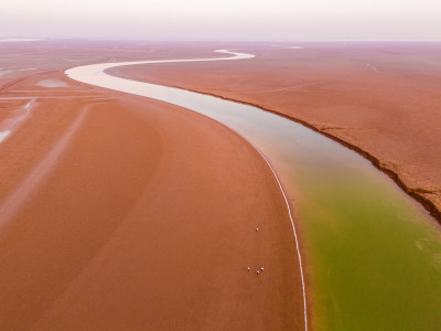 中国江河母亲河黄河生态湿地环境