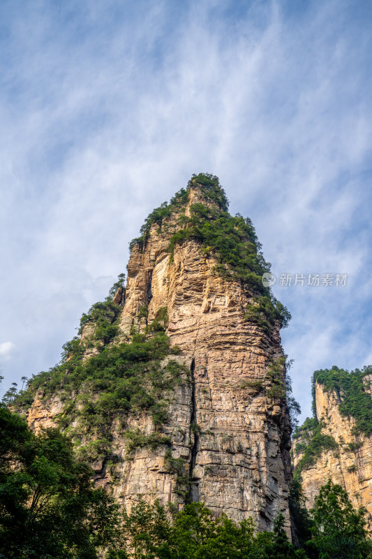 中国湖南张家界景区奇特山峰与茂密森林