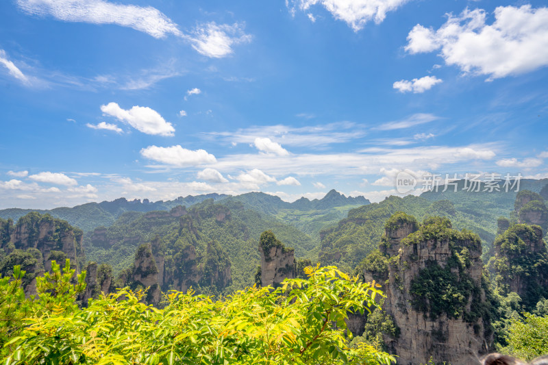 中国湖南张家界景区奇特山峰与茂密森林