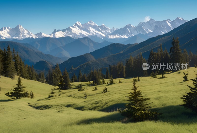 雪山高原草原森林风景