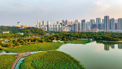 中国湖北武汉月湖风景区附近航拍