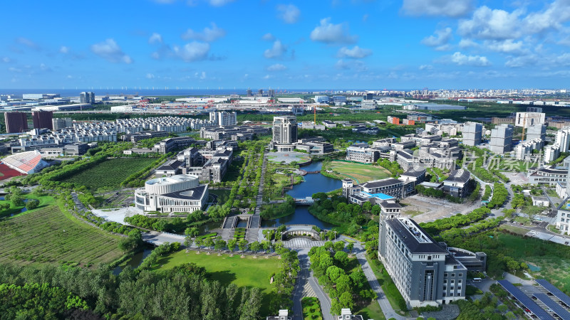 航拍临港大学城 临港新片区 上海海洋大学